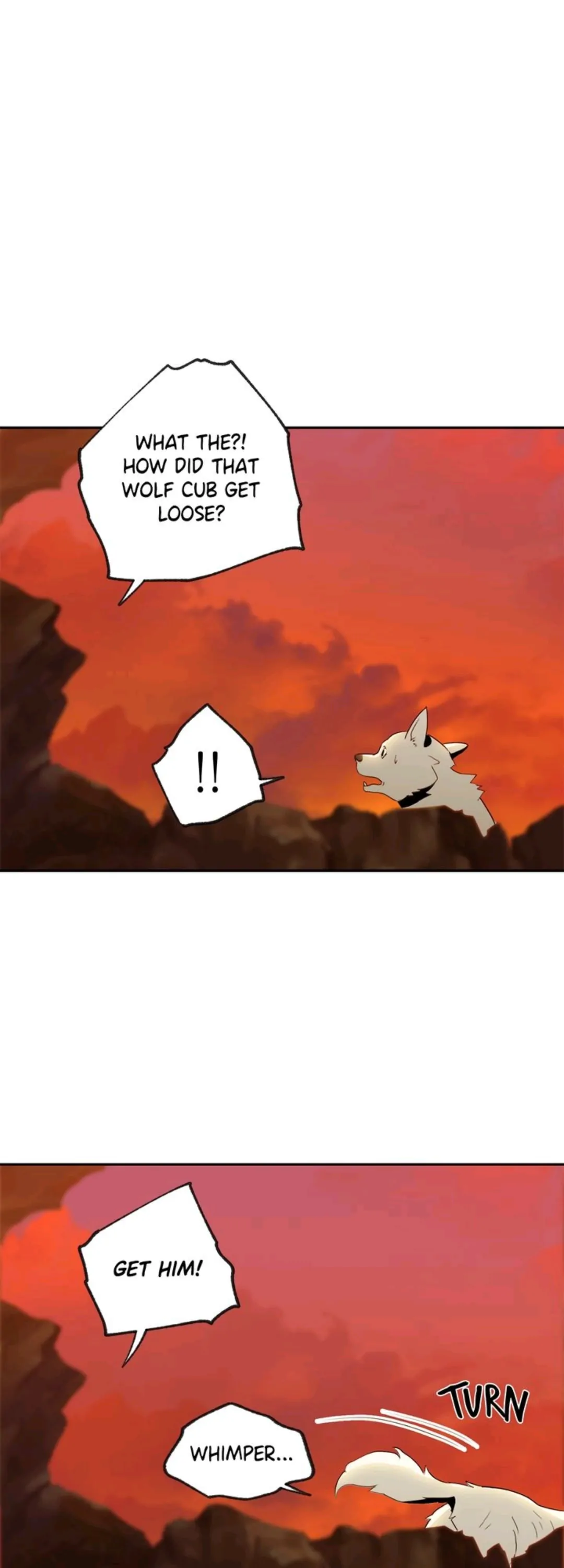 4893060 1080 3000 62644